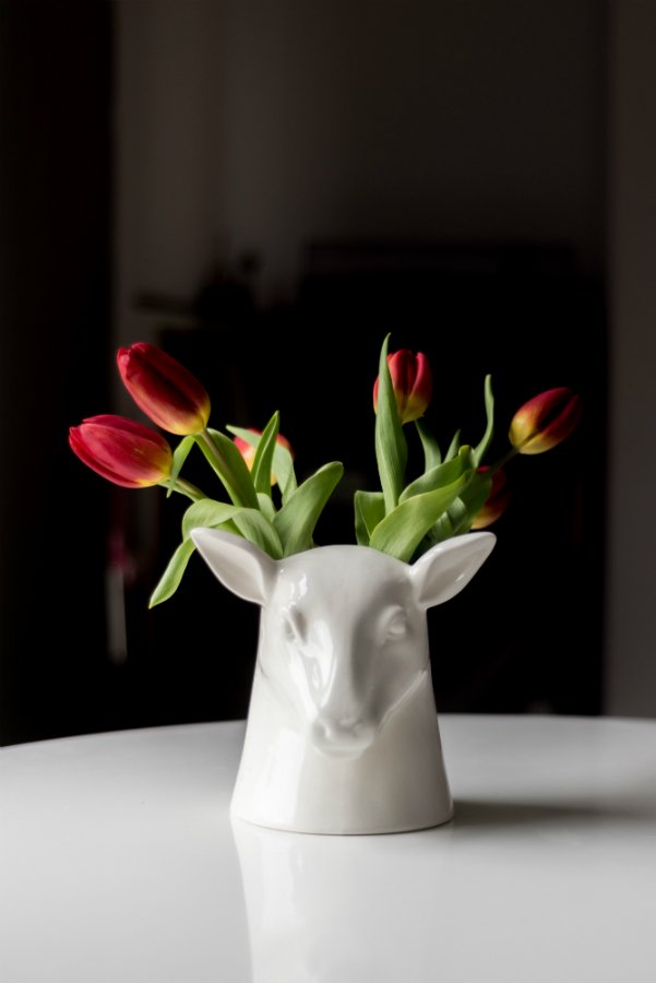 Органайзер белый для хранения Stag SUCK UK  00-3871559 Белый  - Вид №8