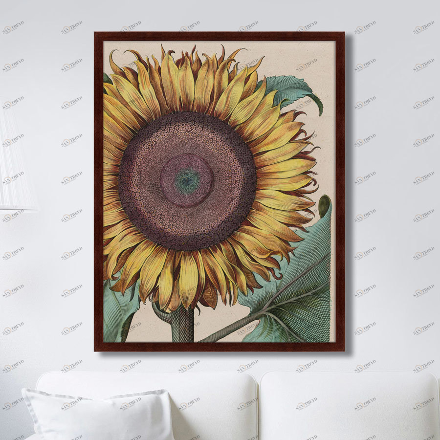 Картина в раме 78,5х100 см Large sunflower (Flos Solis Maior), 1713г. КАРТИНЫ В КВАРТИРУ  264280 Желтый;зеленый;коричневый;разноцветный 