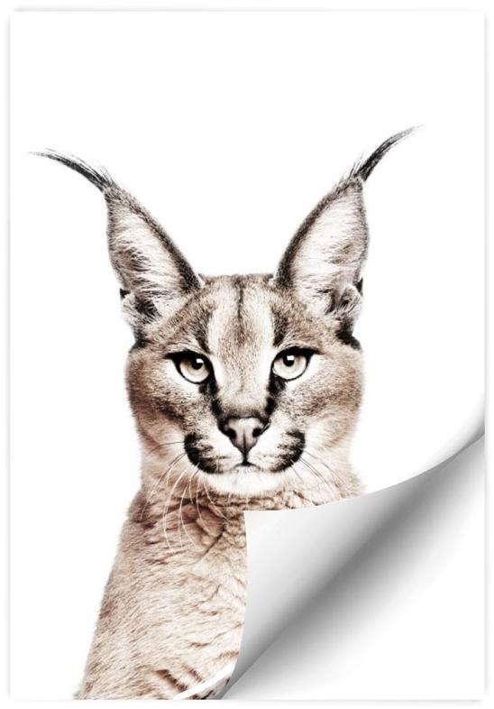 Groovy Magnets Клейкое виниловое украшение  St-92x60-ly  - Вид №1