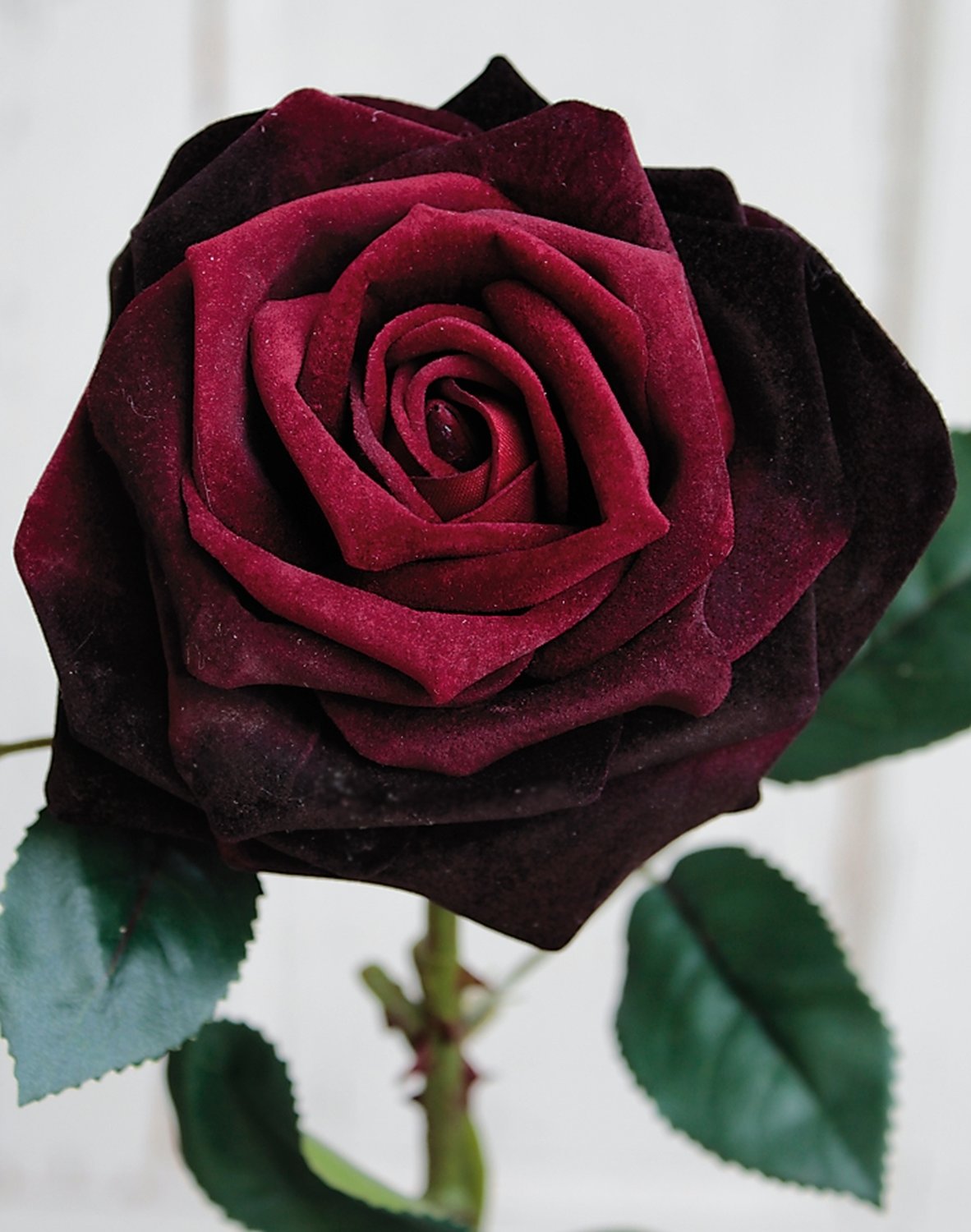 3269 442 a3 Искусственная роза, бархат, 50 см, бордовый H-andreas 