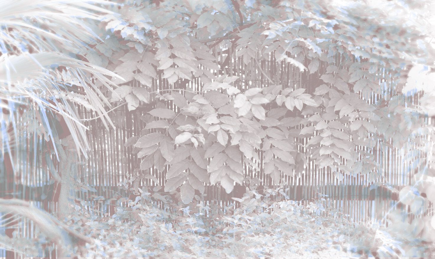 Обои с цветочными мотивами Jannelli&Volpi GRISIOLE ARCH-00098502 - Вид №3