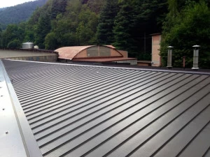 CENTROMETAL Металлическая кровля с дренажным швом