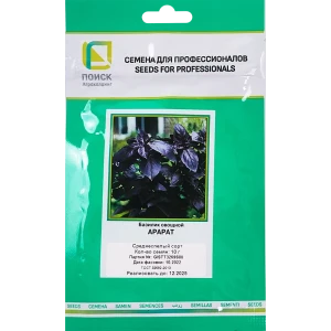 Семена Поиск базилик овощной Арарат