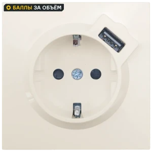 Розетка USB разъем встраиваемая Lezard Zima с заземлением цвет слоновая кость 89446336 STLM-2201405