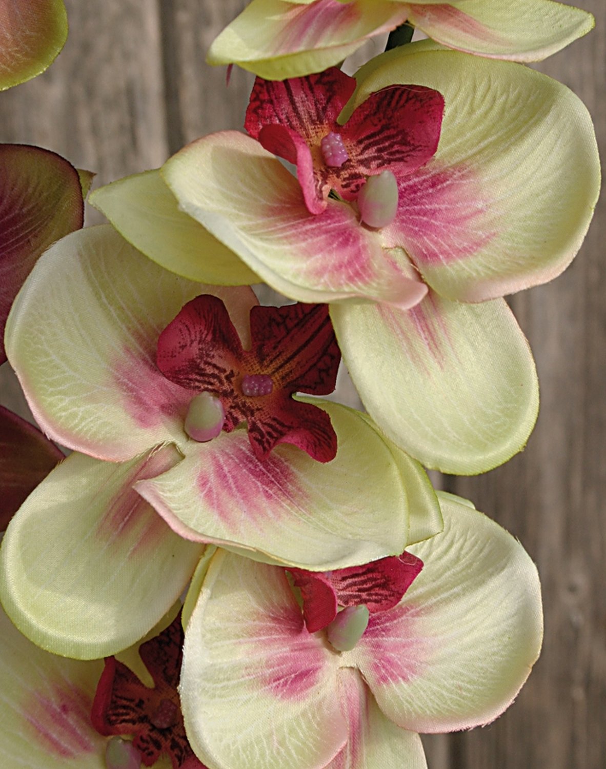 2423 849 a2 Искусственная орхидея Phalaenopsis, 92 см, зелено-бордовая H-andreas 