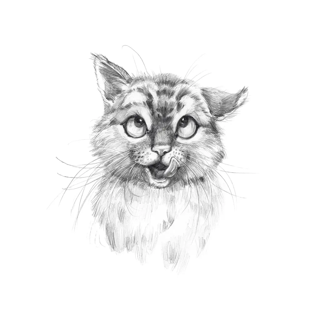 Постер МЯУчты 30x40 см АРТ ДИЗАЙН STLM-2147962