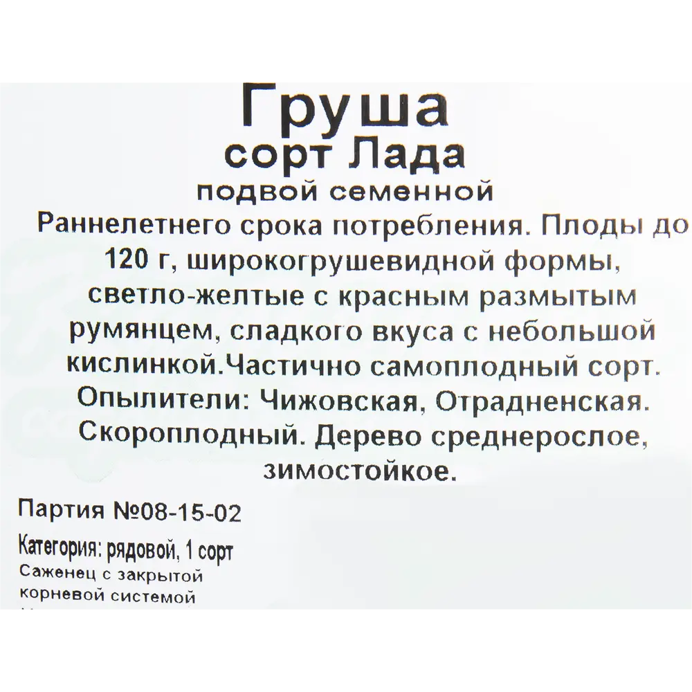 Груша «Лада» C4 высота 140 см 82596985 STLM-2082288 Santreyd  - Вид №1