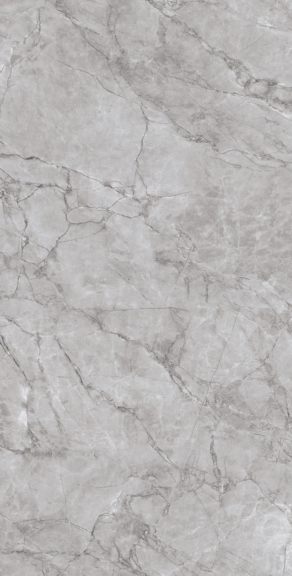 ARCTIC GREY ARCADIA CERAMICA CR4012-A - Вид №9