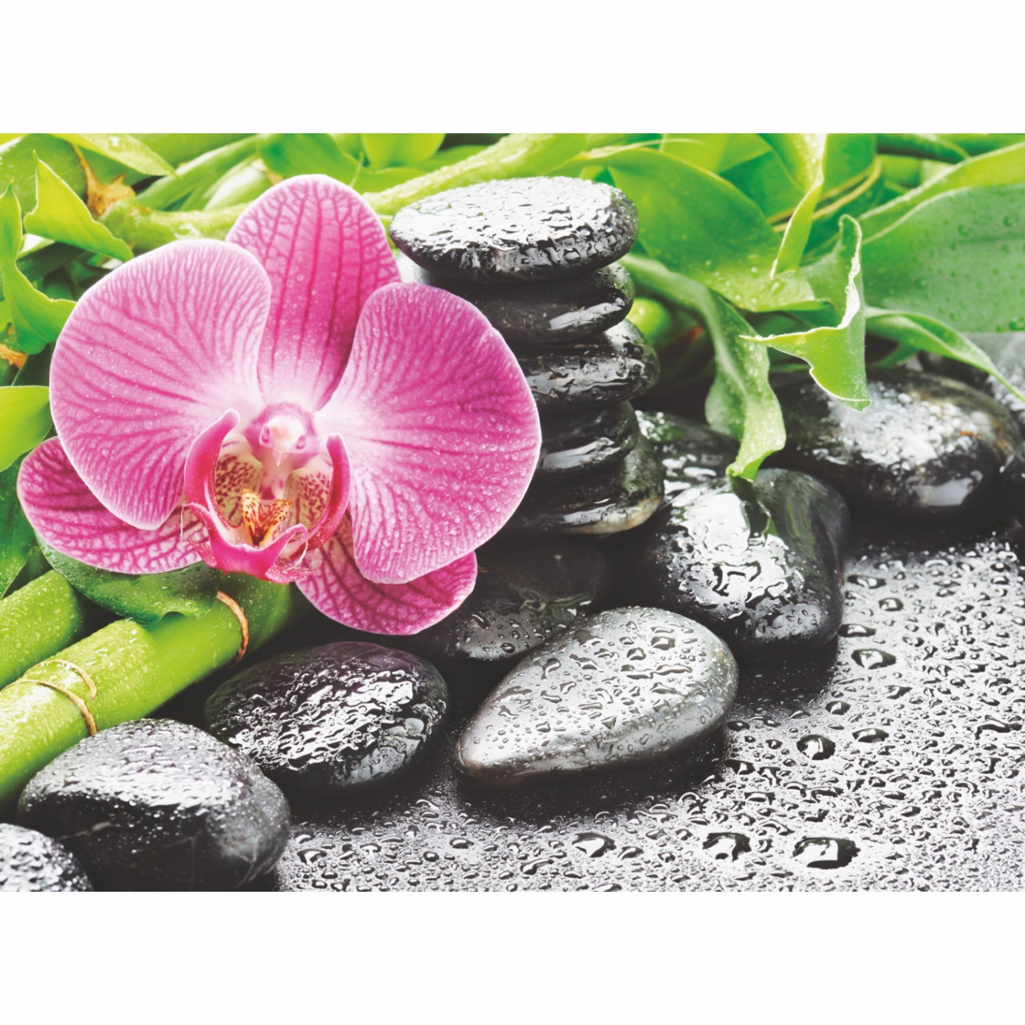 18087044 Фотообои бумажные «» 200х140 cм Блаженство Santreyd 