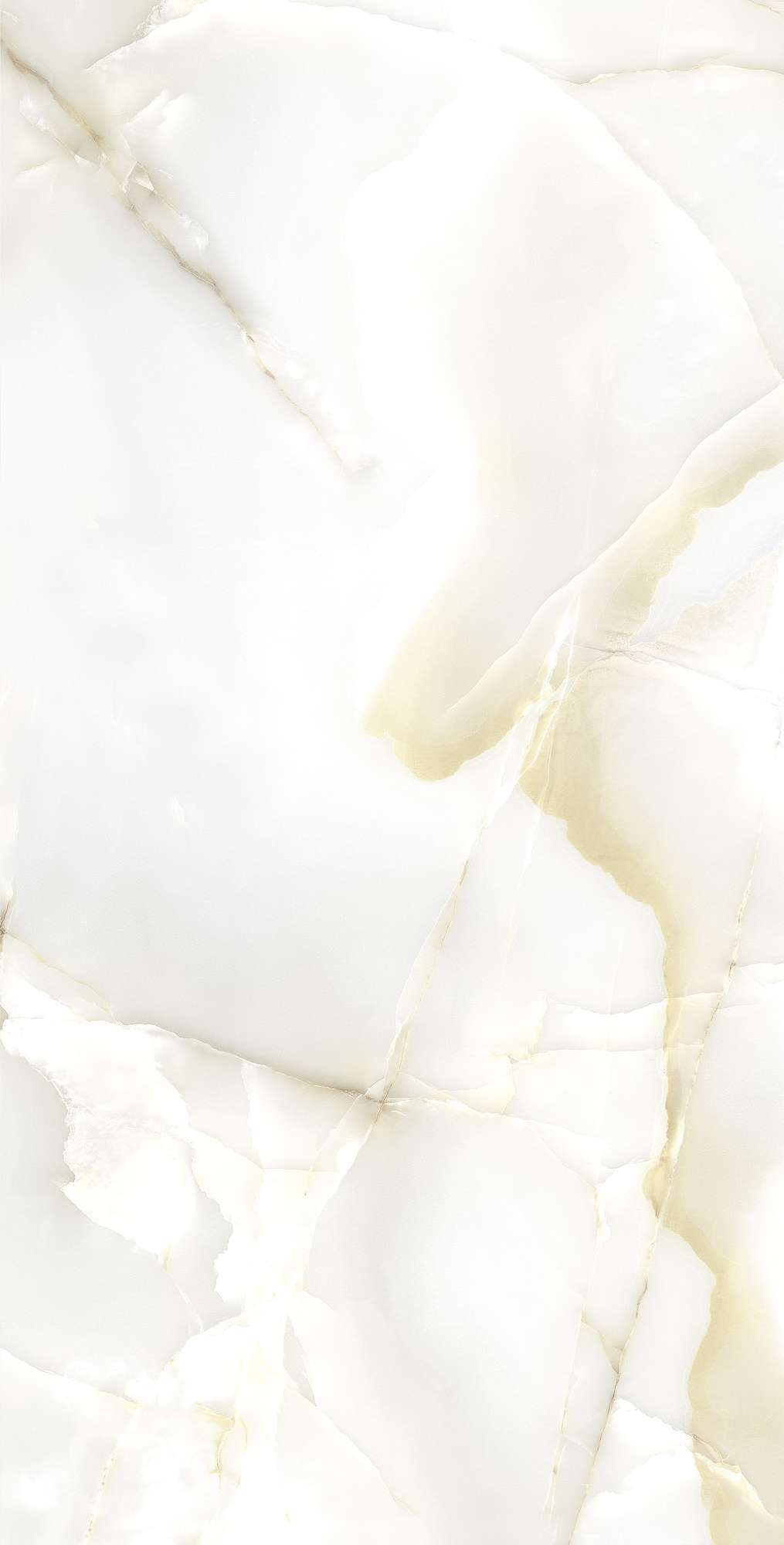 Ониксовый Шёпот: Керамогранит для Вдохновения FP1003-A Arcadia Ceramica PRIMO - Вид №5