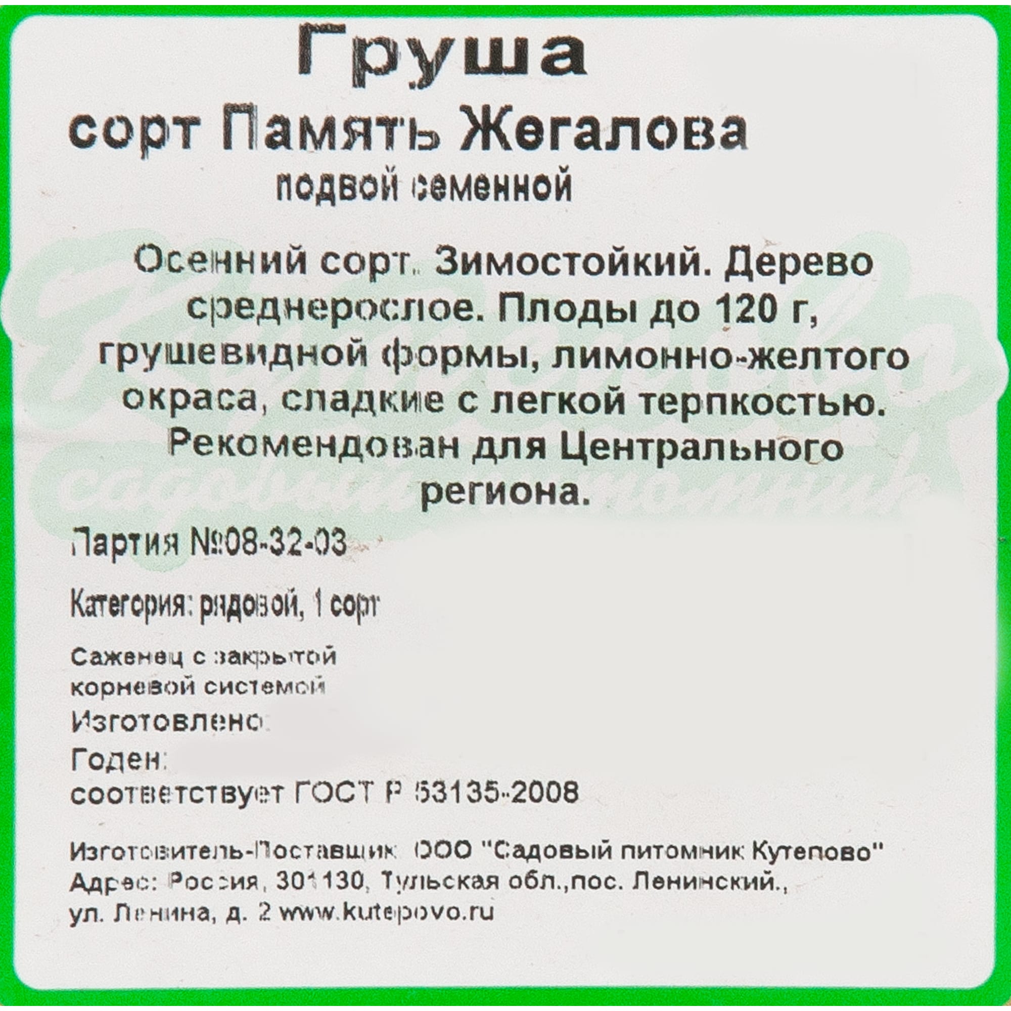 82596982 Груша «Память Жегалова» C4 высота 140 см Santreyd  - Вид №1