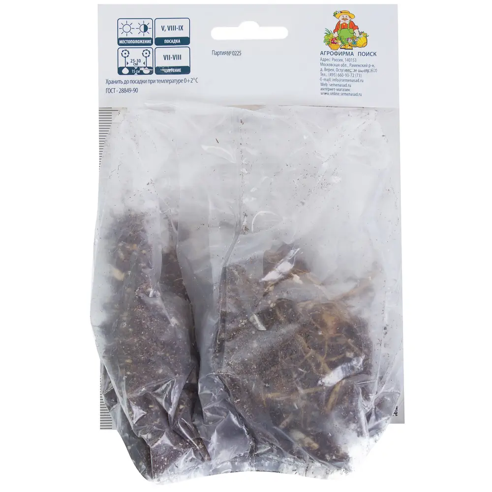Лилия азиатская махровая «Строберри Ванилла» 81945468 STLM-2020134 Santreyd  - Вид №1