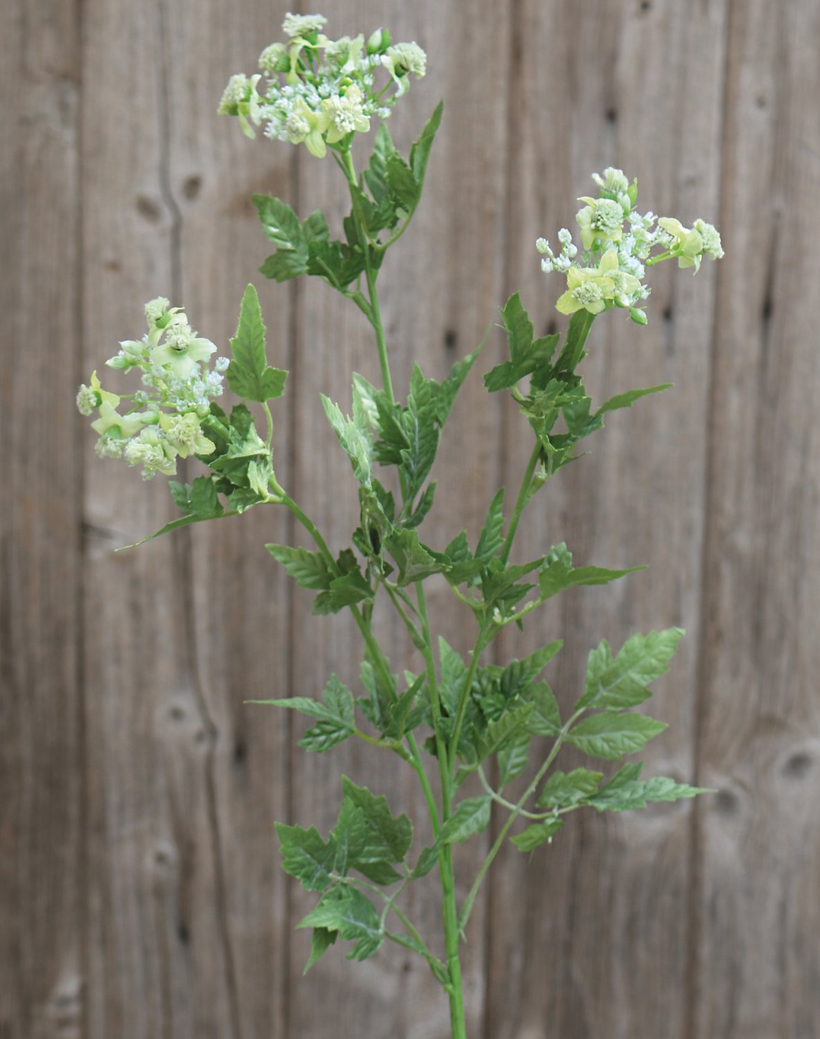 4095 873 a2 Усик искусственного чеснока, 3-х кратный, 60 см, зеленый H-andreas  - Вид №4