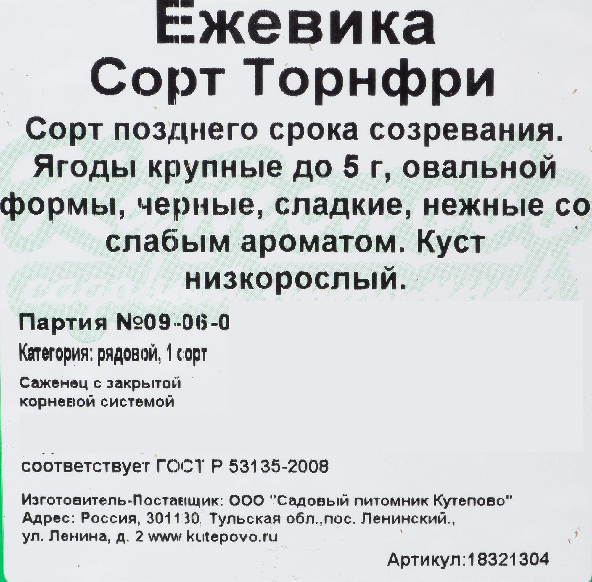 Ежевика садовая С2 высотой 50 см Santreyd 18321304 STLM-0010265 - Вид №1