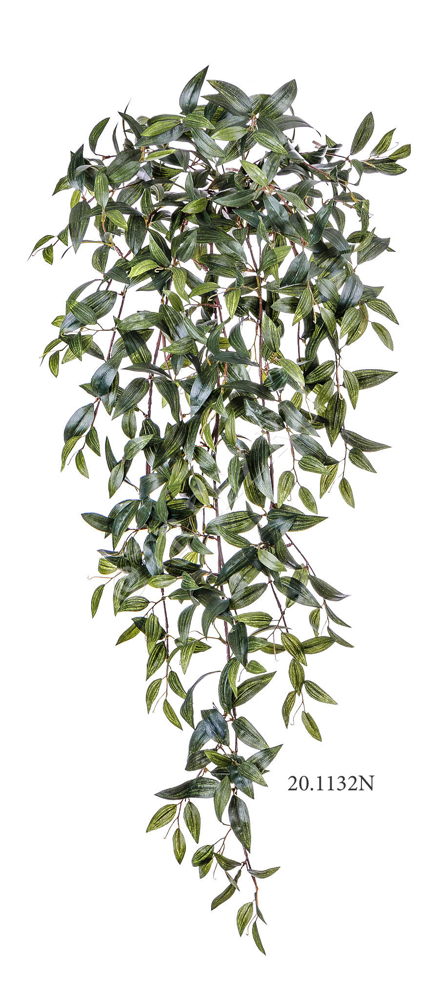 20.1128N Традесканция зелёная ампельная Цветочная коллекция  - Вид №2