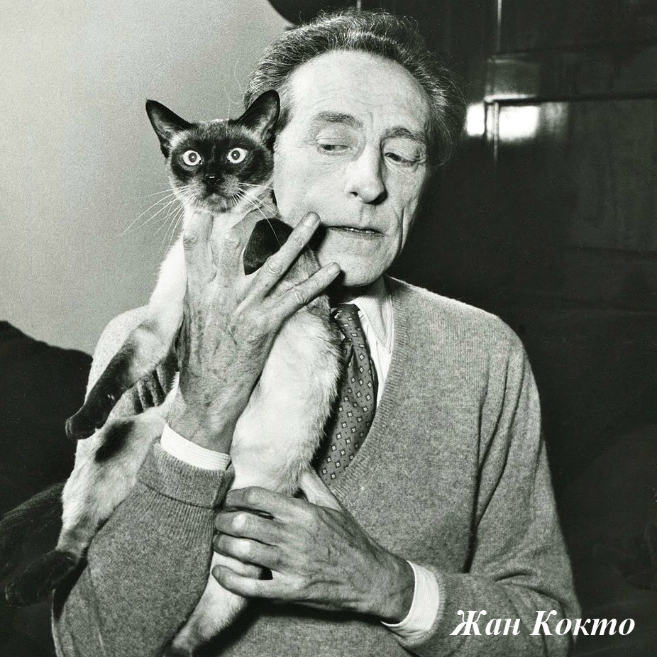 4314206 Арт-подушка «Душа дома» Object Desire  - Вид №4