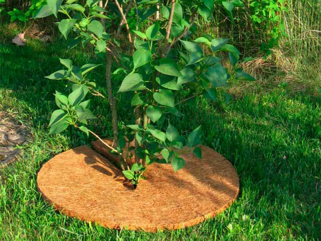 Круг приствольный Мульчаграм 40 см, комплект - 5шт ГеоПластБорд GPBST-248 - Вид №8