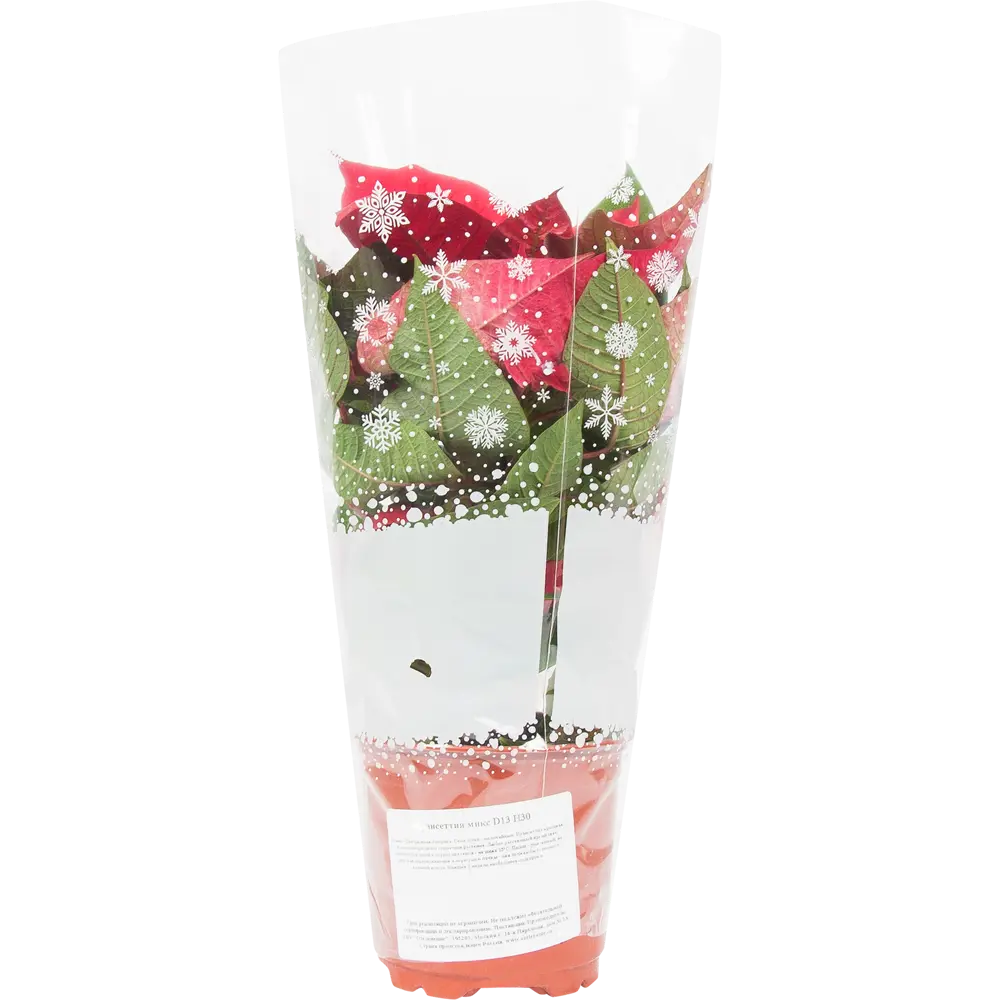 82941550 Пуансеттия микс 13 см STLM-1354465 Santreyd  - Вид №2