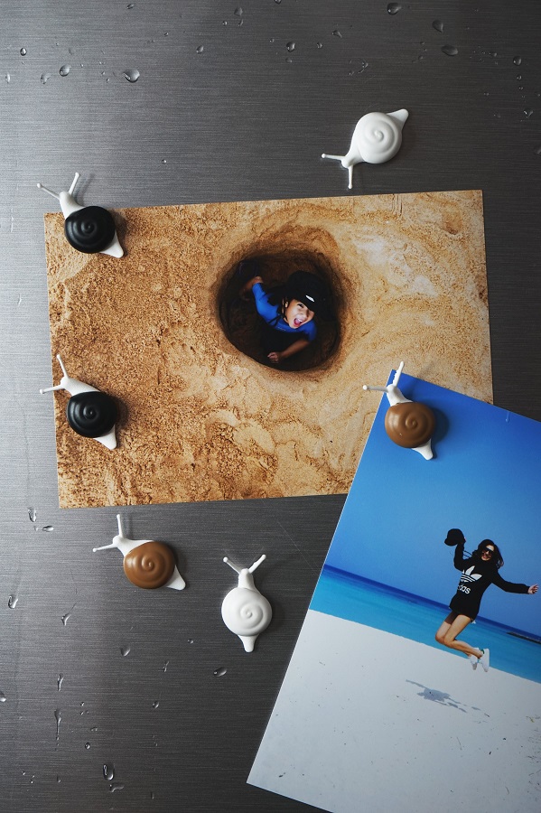 Магниты Snail, 6 шт Qualy QL10289MX - Вид №1