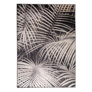 Ковер Palm By Night 200х300 см