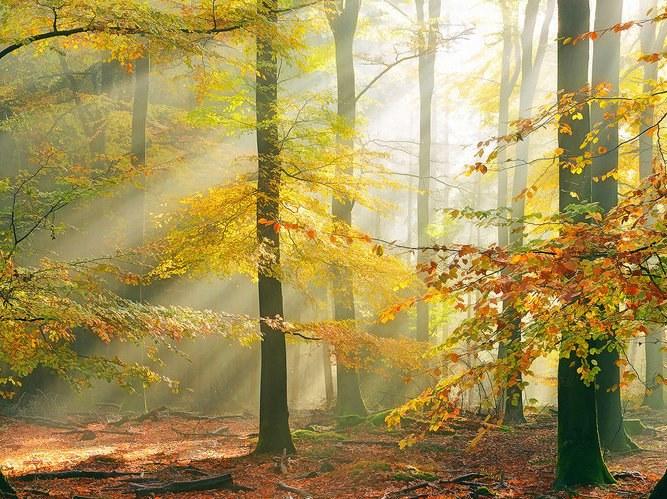 Architects Paper Обои с цифровой печатью с пейзажами Ap digital iv 109230 - Вид №1