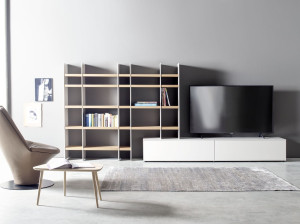 Низкий ТВ-шкаф с книжным шкафом