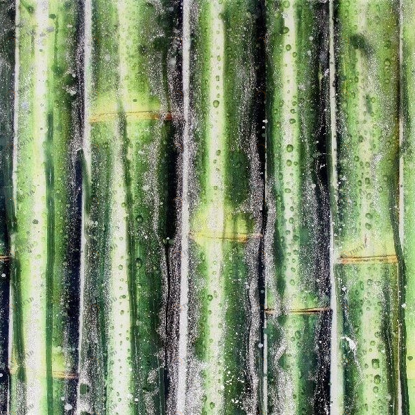 Декоративная панель Organic Green Bamboo Alex Turco GREENBAMBOO
