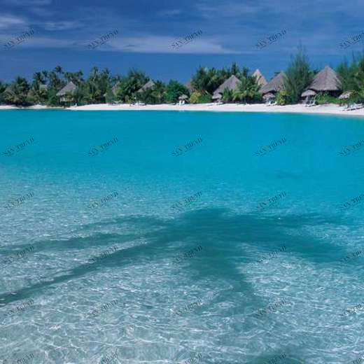 WP02363 Фотообои Verol Фотообои decoline 1х1 м