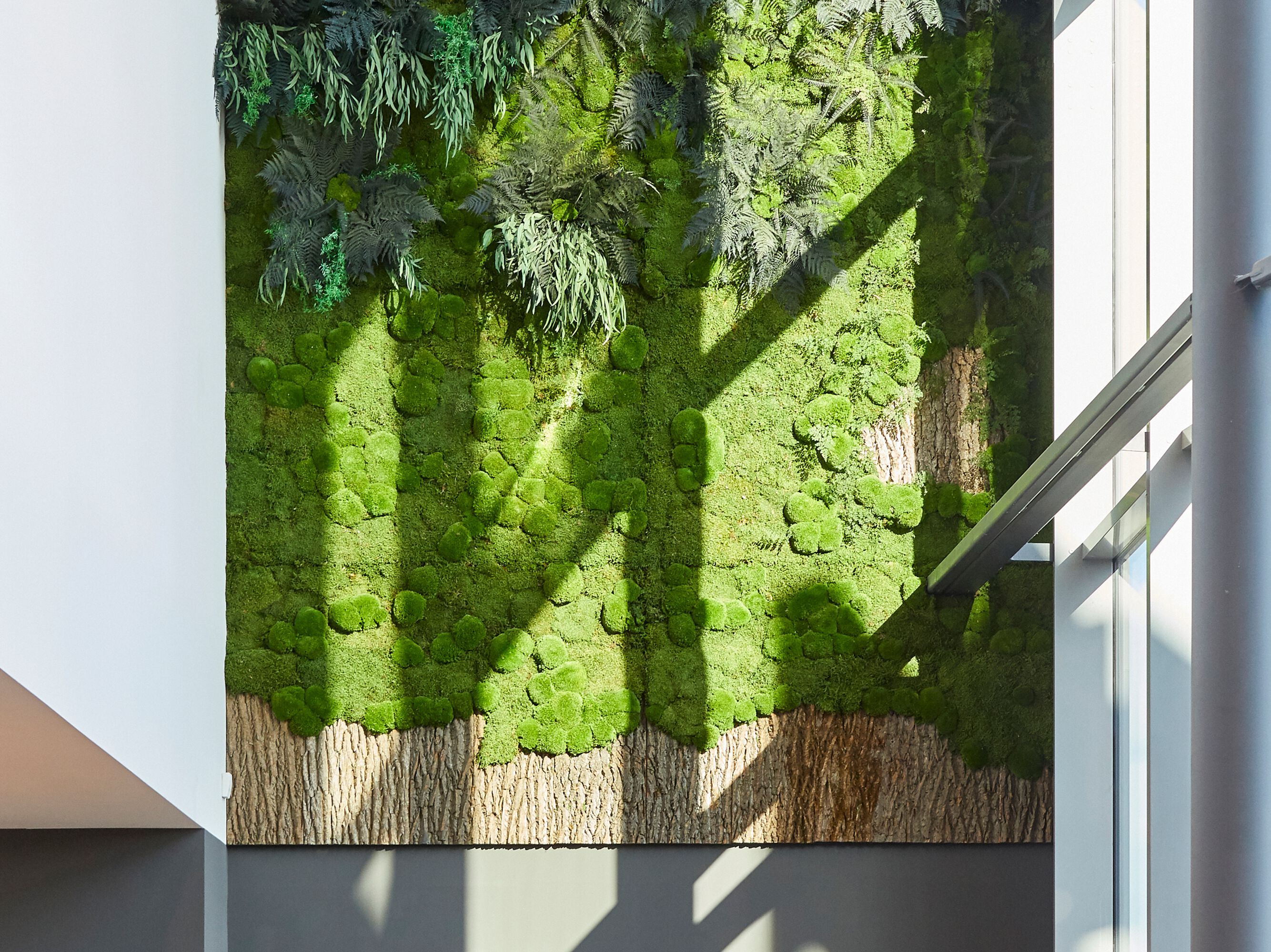 Растительная стена из мха Freund GmbH ARCH-00063438 - Вид №3