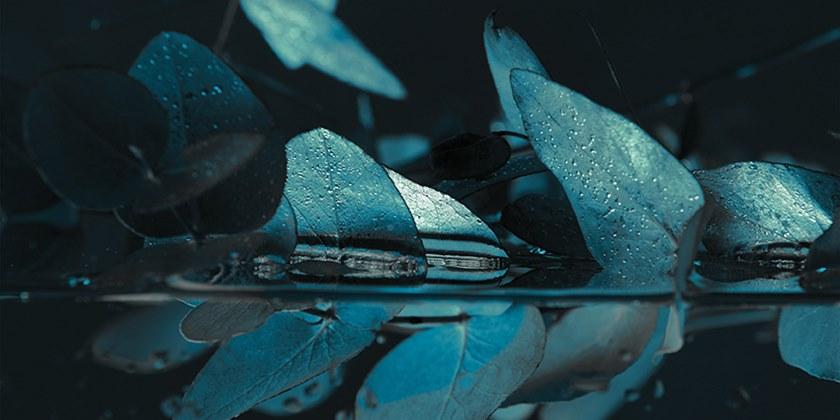 Creativespace Моющиеся огнестойкие обои Bio-spring - capsule 2019 sun-id-1369258 - Вид №1