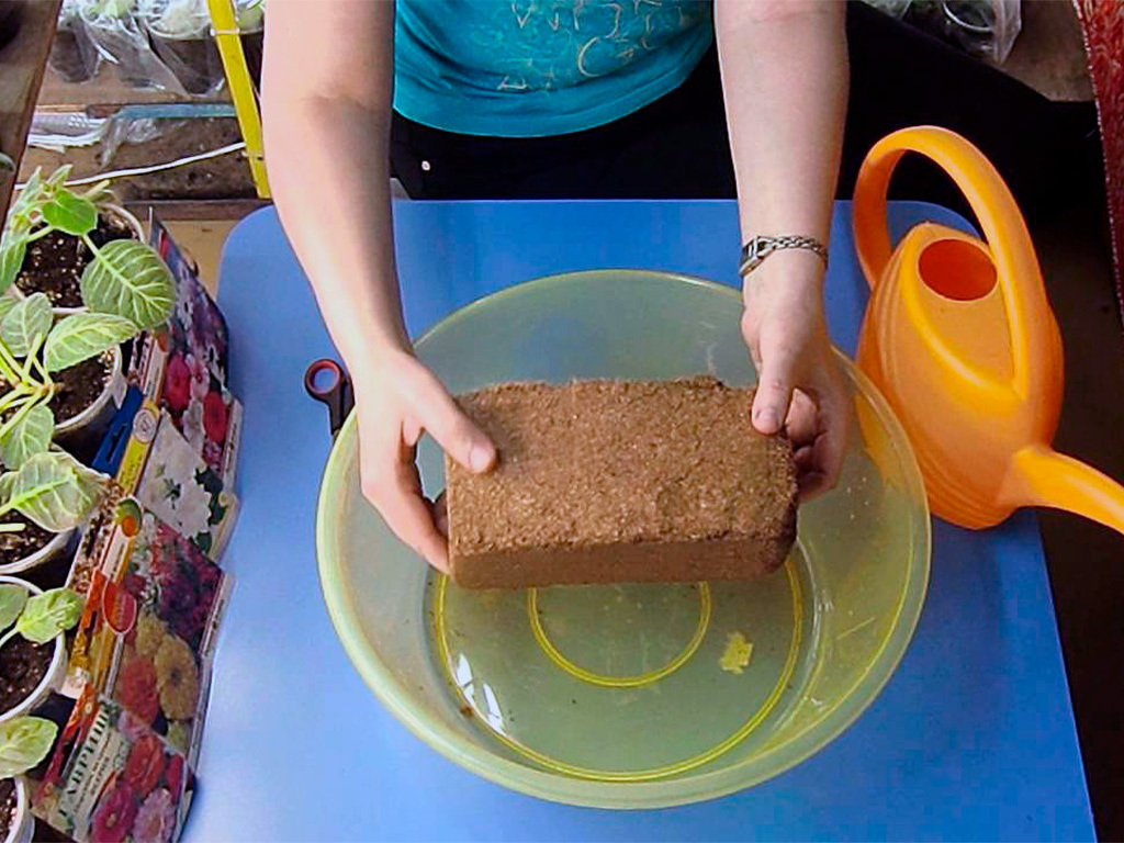 Кокосовый диск Орехнин, 5 дисков 100 мм, 7 литров ГеоПластБорд GPBST-241 - Вид №3