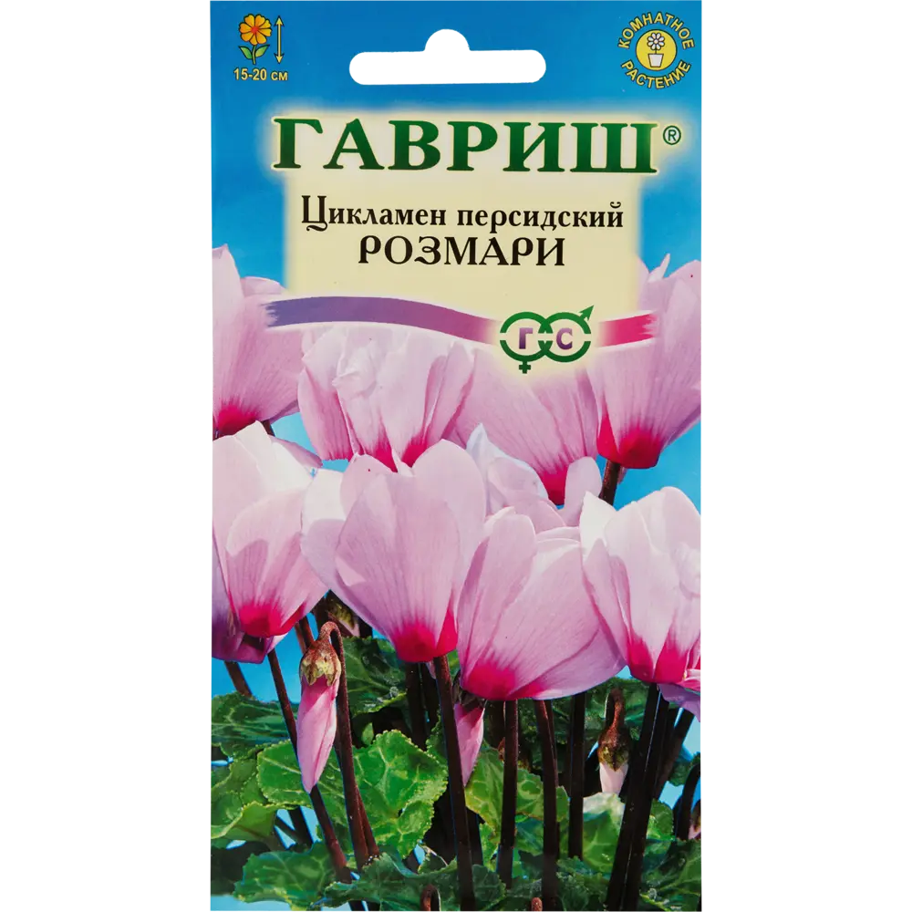 Цикламен персидский «Розмари», 3 шт. 82472685 STLM-2049503 ГАВРИШ 