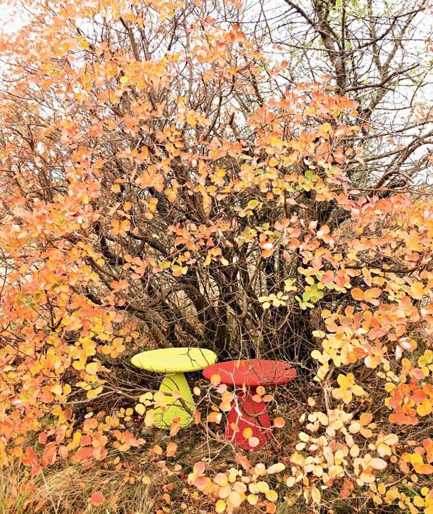 Moroso Табурет из полиэтилена sun-id-1383590 - Вид №4