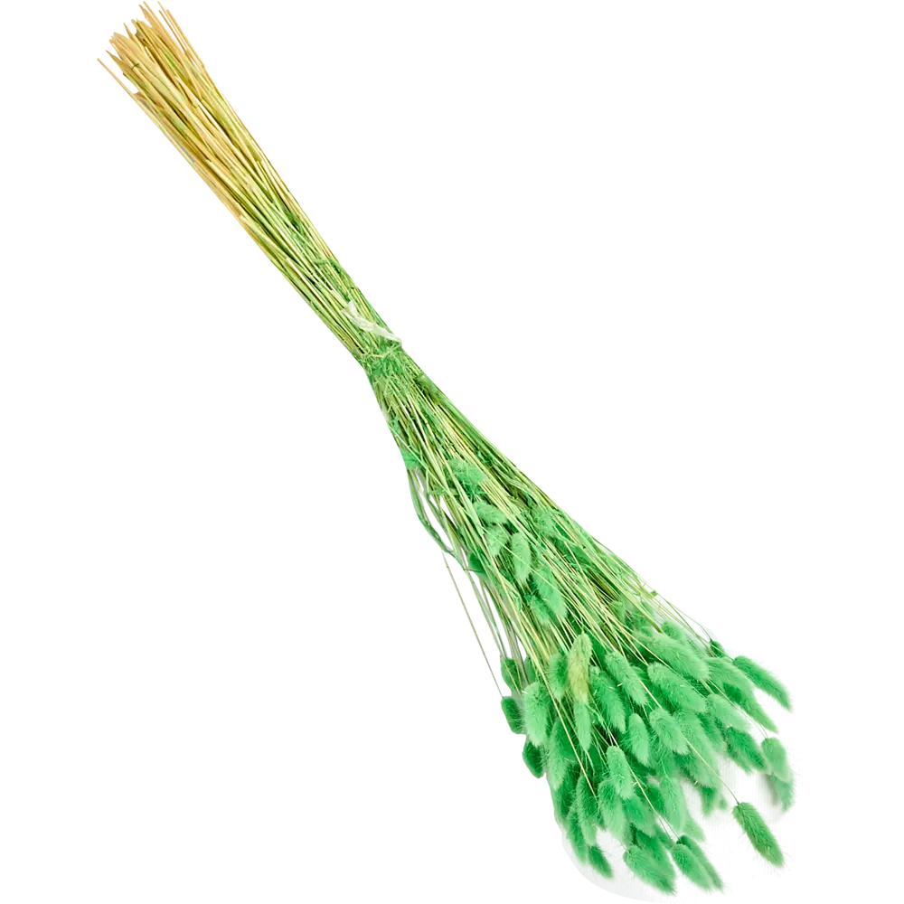 Букет из сухих цветов Лагурус микс 2 70 см Santreyd STLM-2185331 - Вид №3