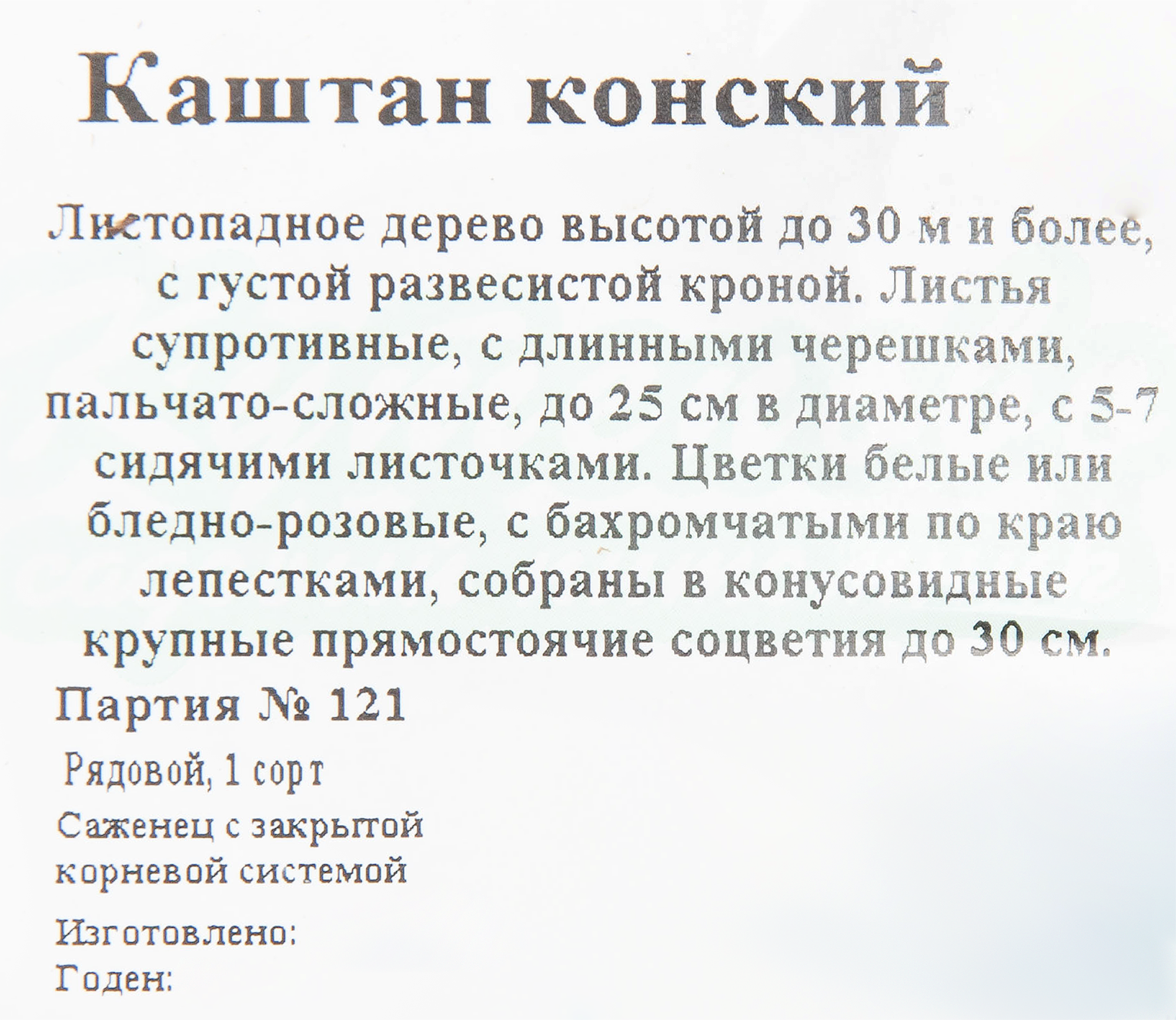 Каштан конский Santreyd - цветущее дерево для сада с целебными свойствами 17895710 STLM-0008938 - Вид №1