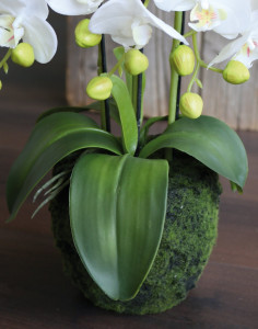 2862 777 a3 Пластиковая орхидея Phalaenopsis с 'почвой', 3-х кратная, 45 см, real touch, белая H-andreas