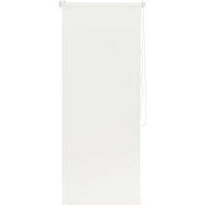 Штора рулонная Inspire Шантунг 60x250 см белая 88300726 STLM-2114473