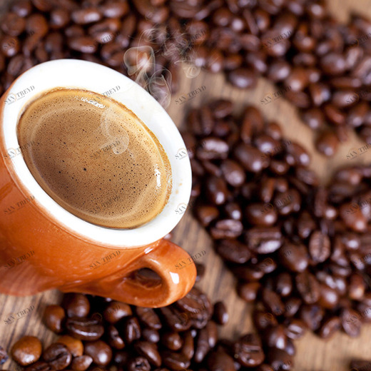 C1-308 Фотообои DIVINO Collection C 1.47х2 м C1308