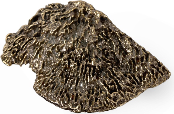 EA1031 Fungi PULLCAST Earth Collection 