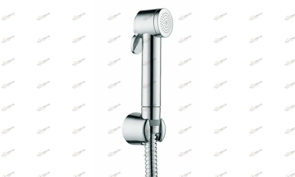 C03121 Гигиеническая лейка Paloma BOSSINI 