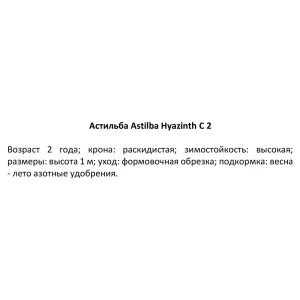 Астильба Гиацинт ø15 h40 см 84832016 STLM-2164317