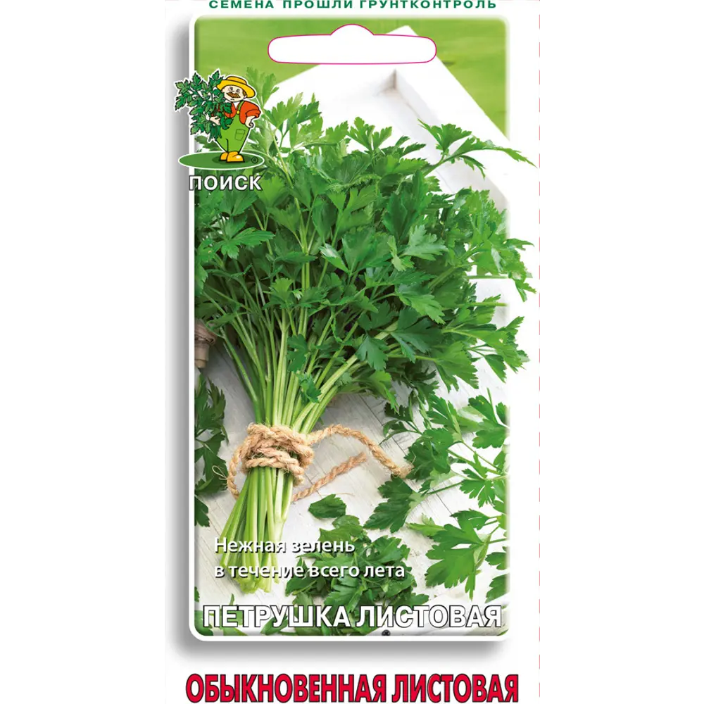 ПОИСК Петрушка Обыкновенная листовая - ароматная зелень для вашего стола 83227423 STLM-0039568