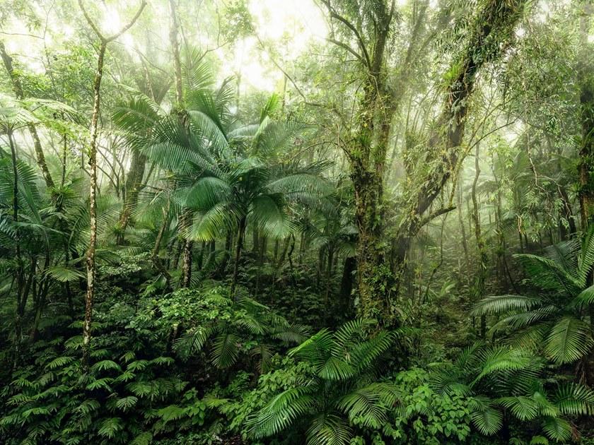 Komar Панорамные флизелиновые обои Home X7-1009 - Вид №1