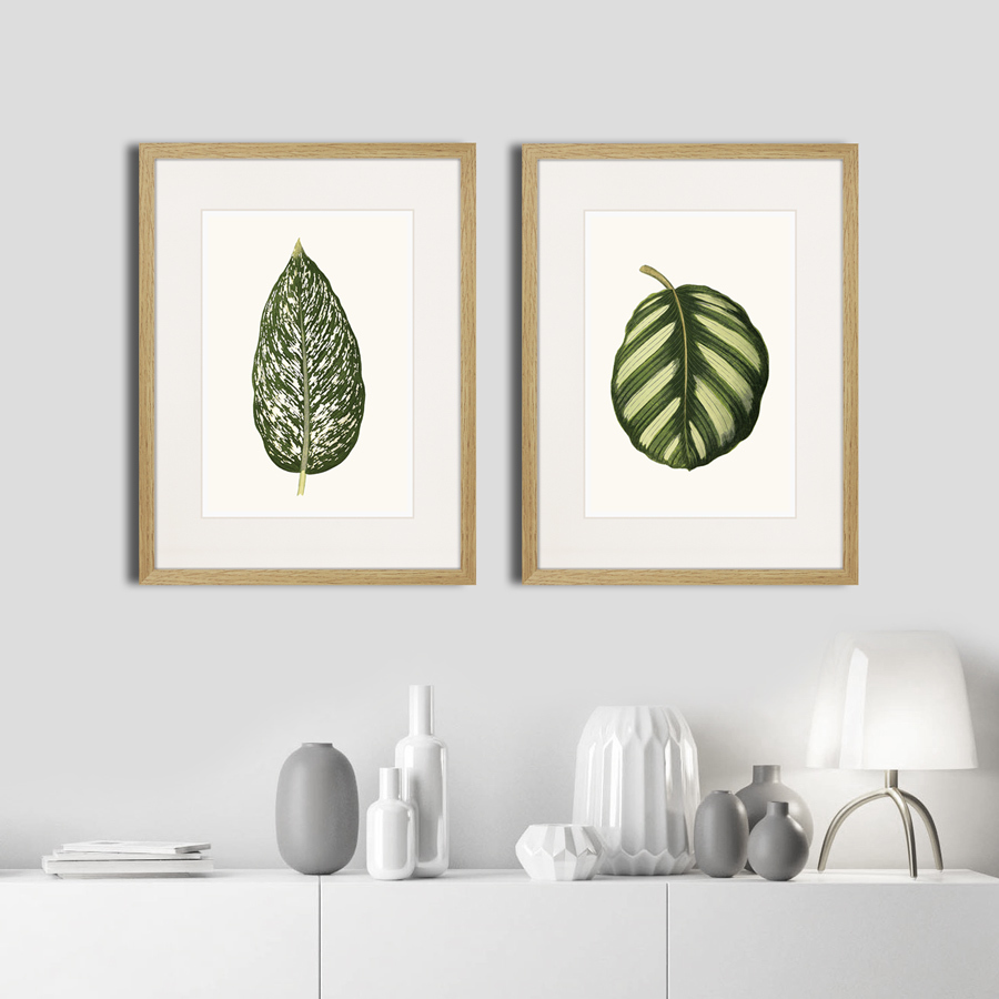 Картина: Single leaf of a plant №1, 1865г. КАРТИНЫ В КВАРТИРУ  264453 Разноцветный  - Вид №2