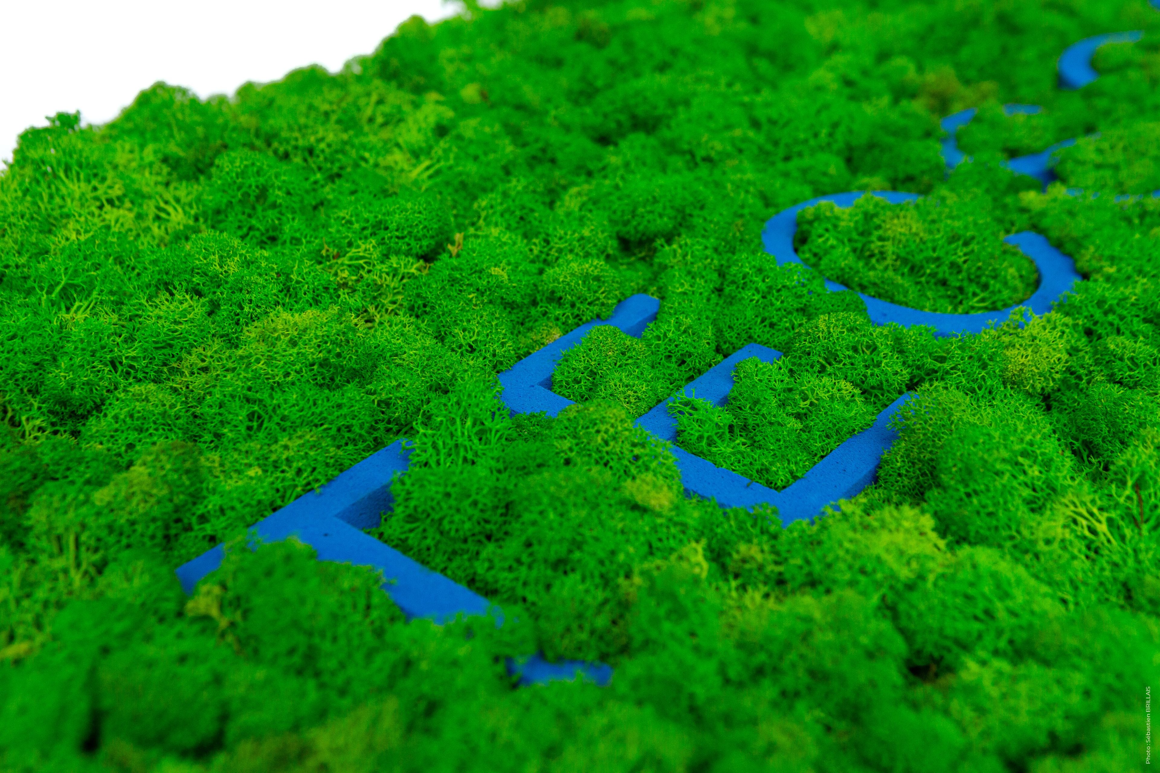 Растительная картина в лишайниках Tecsound PureKustik ARCH-00116004 - Вид №1