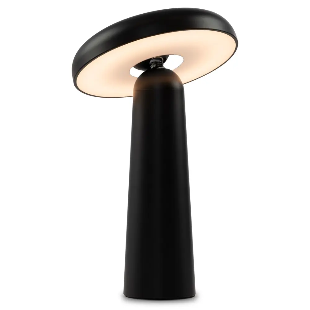 Настольная лампа светодиодная Match FR6109TL-L4B цвет черный 89335872 STLM-2188738 Freya  - Вид №2