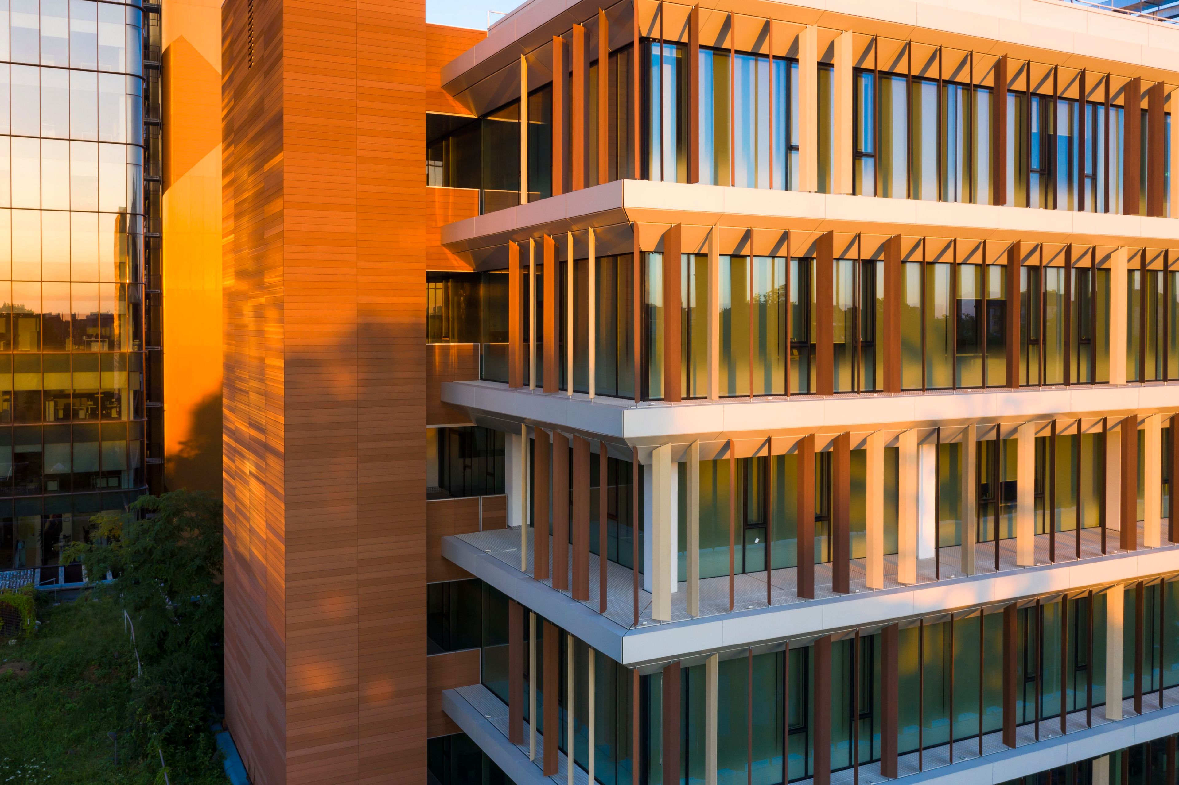 Композитные деревянные Frangisole Woodn Greenwood Woodn Versatilis ARCH-00132556 - Вид №1