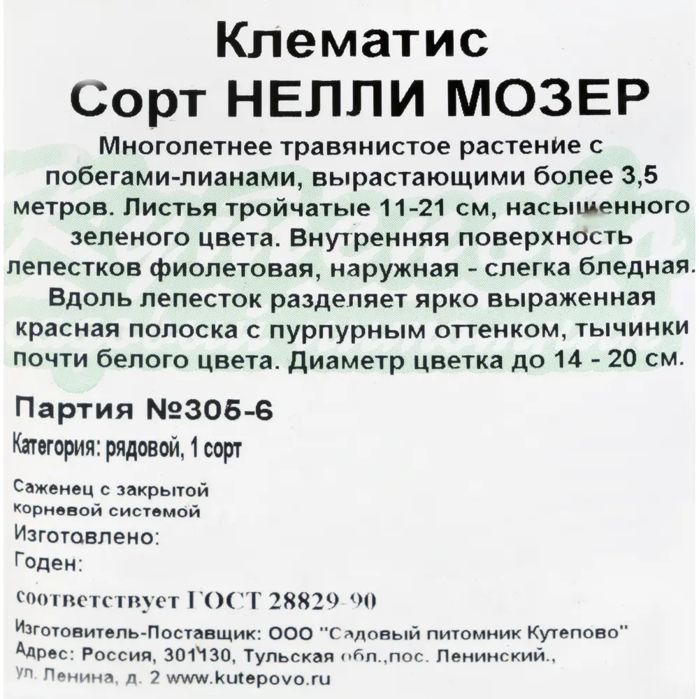 Клематис крупноцветковый «Нелли Мозер» С1 82237707 STLM-2128231 Santreyd  - Вид №1