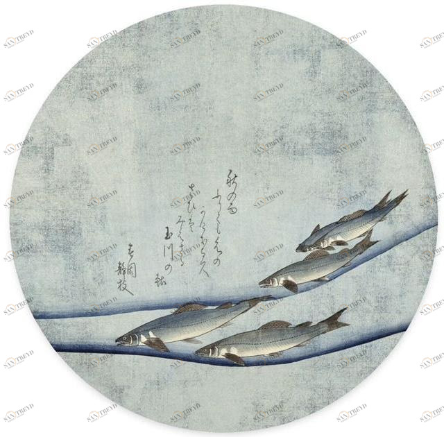 Groovy Magnets Клейкое виниловое украшение  St-60-ja-tr 