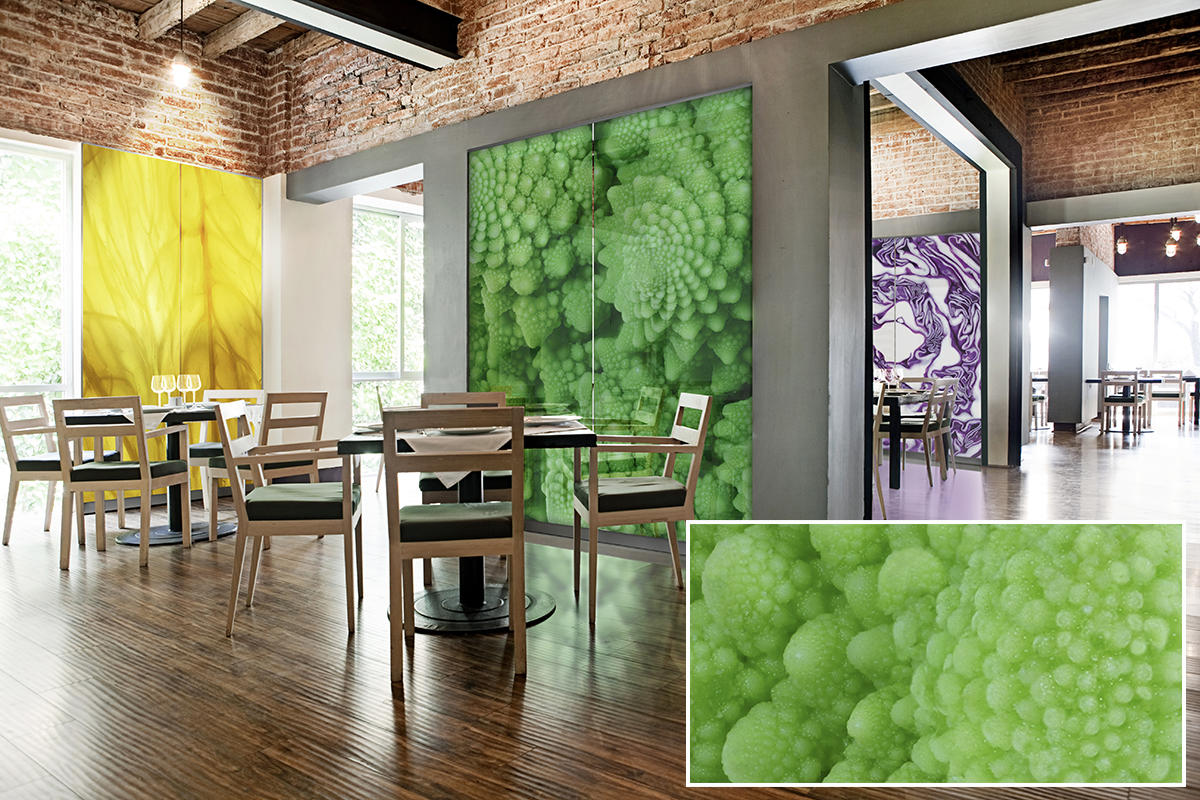 FSRT377 Стекло Vivispectra Zoom с прослойкой в ​​виде гвоздик Forms-surfaces  - Вид №12